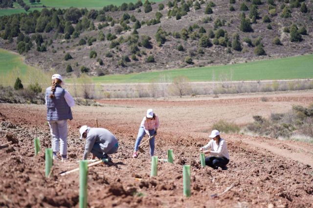 Las mujeres son mayoría en Grupo Gesforma - 1, Foto 1