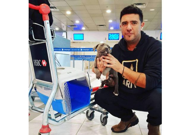 Pet World Travel, una gran solución para el transporte de mascotas a nivel nacional e internacional - 1, Foto 1