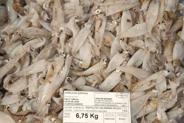 Pescados y mariscos frescos de alta calidad para preparar platos saludables de la mano de Pescadería Younes Ceuta - 1, Foto 1