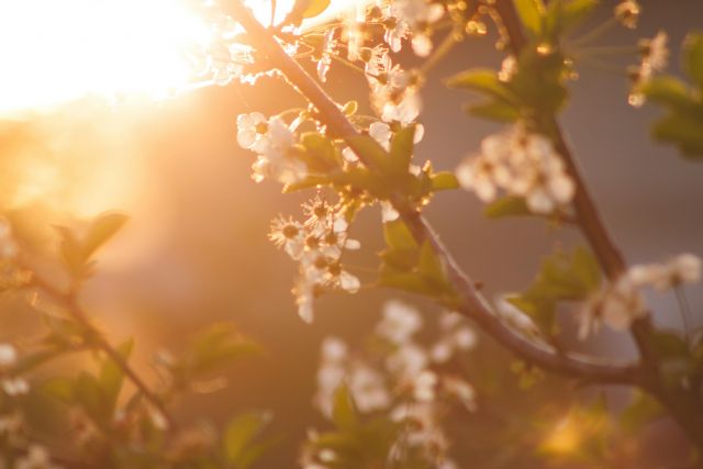 Quironprevencion destaca la rutina y la dieta como claves para lidiar con la llegada de la primavera - 1, Foto 1