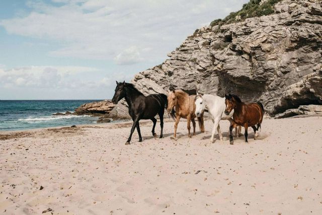 Desarrollo personal a medida, con Son Cavalls - 1, Foto 1