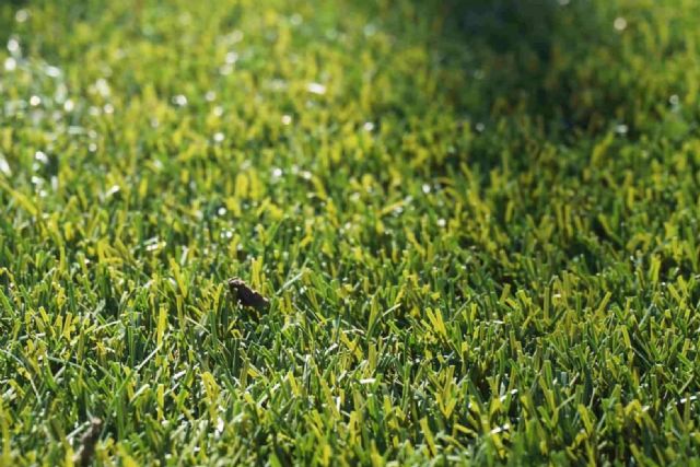 ¿Cómo conseguir un exterior perfecto? El césped artificial de Albergrass - 1, Foto 1