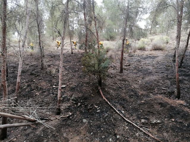 Extinguido un incendio forestal en las proximidades de la urbanización Montepinar en Murcia - 1, Foto 1