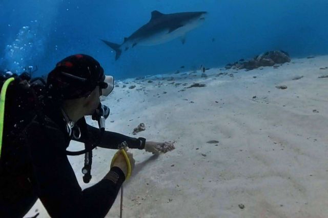 Drop Dive Maldives abre un nuevo centro de buceo en Fuvahmulah - 1, Foto 1