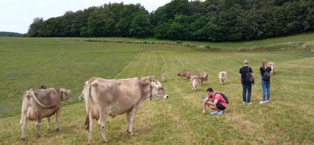 El sector del vacuno de leche europeo visita Euskadi buscando las mejores técnicas - 1, Foto 1