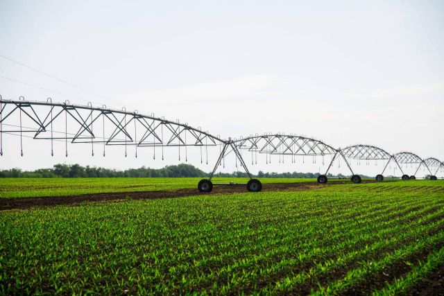 Expertos gestionan la obtención del Certificado GlobalG.A.P., una calificación que prueba buenas prácticas agrícolas - 1, Foto 1