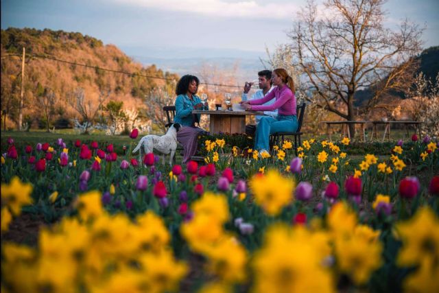 Sesiones de fotos en pareja y familia en Niudàlia, el paraíso de las flores - 1, Foto 1