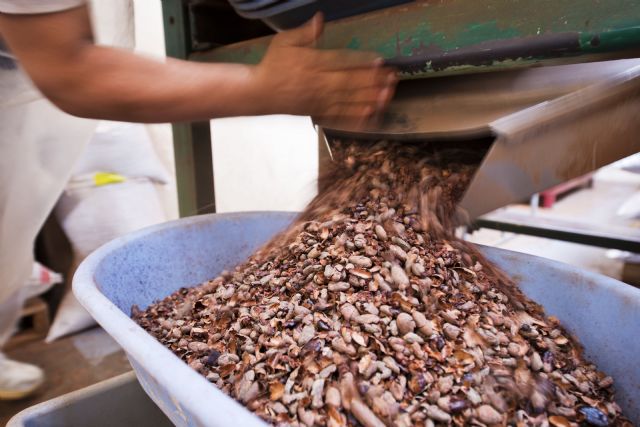 Paccari desvela mitos y leyendas sobre el chocolate - 1, Foto 1