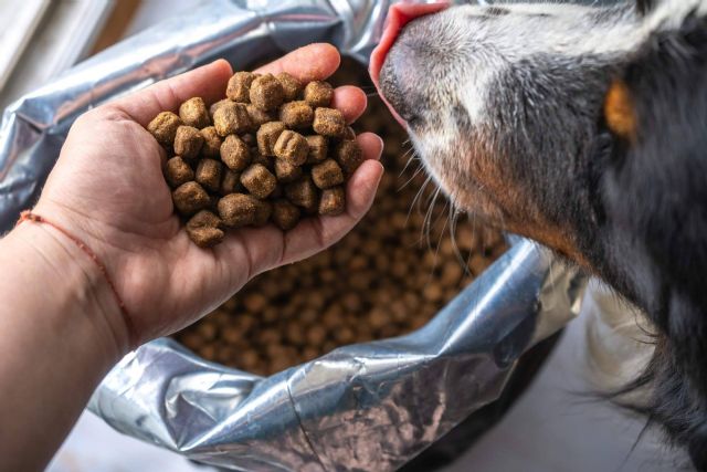 Can Xana, especialistas en comida para perros saludable - 1, Foto 1