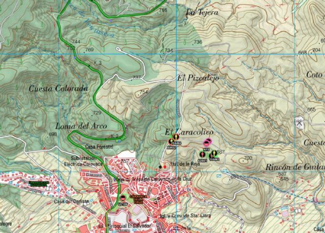 Incendio forestal en el paraje de El Caracolico, en Caravaca de la Cruz - 1, Foto 1