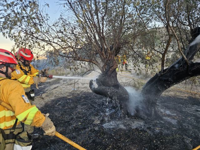 Conato de incendio forestal cerca de la Hurona, Molina de Segura - 1, Foto 1