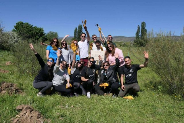 Oney planta su segundo bosque con 500 árboles en Madrid - 1, Foto 1