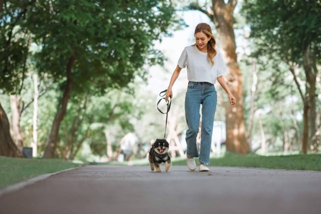 Equilibrio perfecto; Cómo conciliar vida personal y profesional emprendiendo con El Perro Feliz - 1, Foto 1