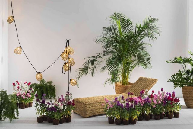 4 guirnaldas de luces decorativas para iluminar el verano - 1, Foto 1