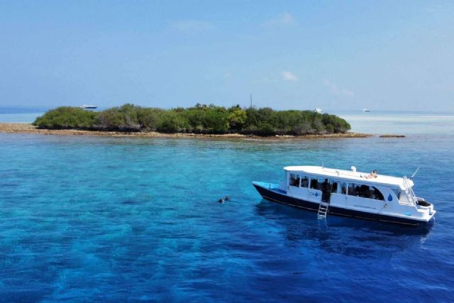 Experiencias de buceo en las islas Maldivas, de manos de Drop Dive Maldives - 1, Foto 1