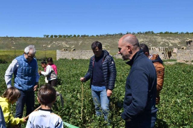 El 8º bosque de ICT Ibérica y Fundación Alcoraz llega a Almudévar - 1, Foto 1