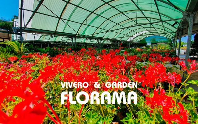 Viveros Florama: un referente en jardinería en Madrid desde 1993 - 1, Foto 1