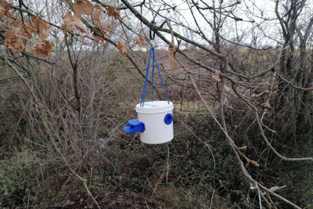 El sistema Zerovelutina ayuda a los apicultores a combatir la velutina de forma eficiente - 1, Foto 1