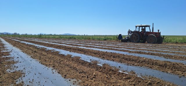 El campo se apunta a los plásticos BIO: la demanda se dispara en las últimas campañas - 1, Foto 1