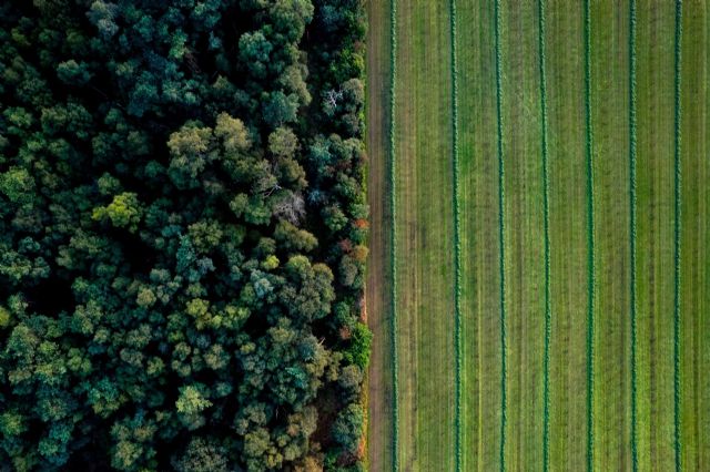 Más de 30.000 empresas españolas, a menos de 7 meses de la directiva europea sobre deforestación - 1, Foto 1