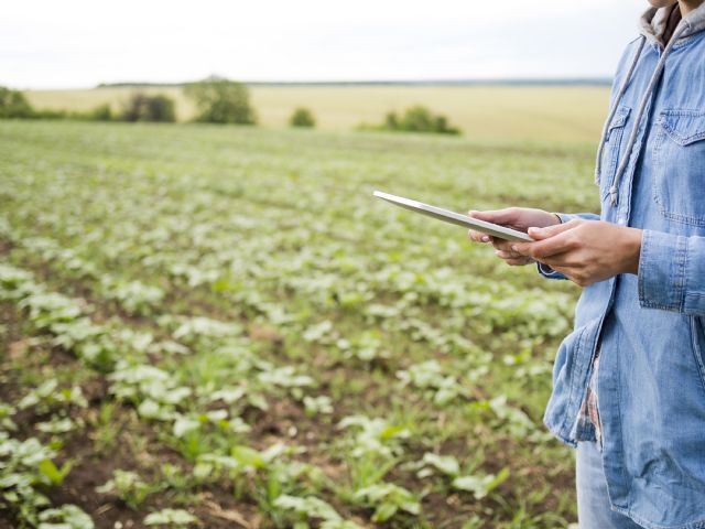 EBSerco Consulting para una gestión eficaz en el sector agroganadero - 1, Foto 1