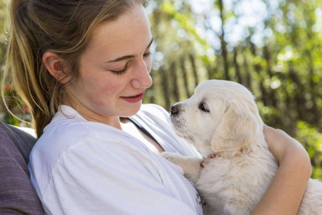 Mascotas para adoptar gratis - 1, Foto 1