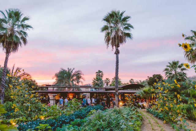 La primera Guía MICHELIN de México reconoce a Los Cabos como destino culinario sostenible - 1, Foto 1