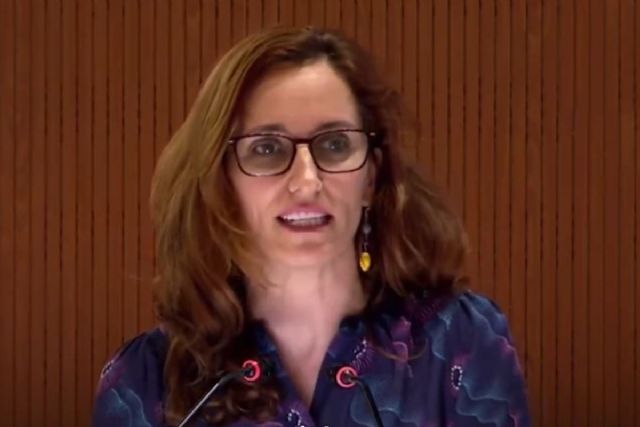 Mónica García denuncia en la asamblea de la Organización Mundial de la Salud la grave situación sanitaria en Gaza y exige un alto al fuego inmediato - 1, Foto 1