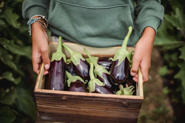 Horta de l´Eixample, una tienda online con un amplio stock en productos ecológicos a domicilio - 1, Foto 1