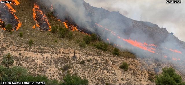 Incendio forestal en Ojós - 1, Foto 1