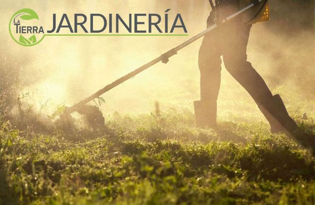 La Tierra Jardinería: excelencia en poda y la tala de árboles y el mantenimiento de jardines - 1, Foto 1