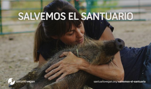 La Fundación Santuario Vegan lanza la campaña Salvemos el Santuario para poder mudarse al nuevo terreno - 1, Foto 1