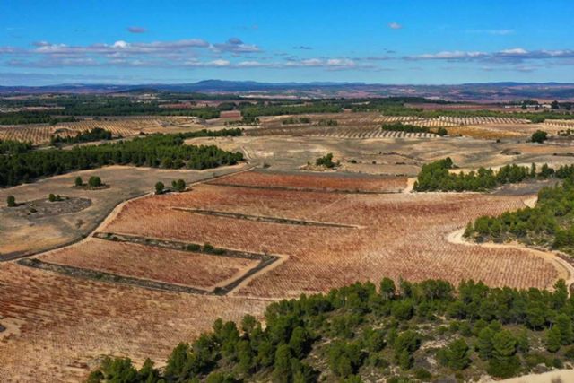 Pago de los Balagueses, un vino de pago que rinde culto a la ecología y la unicidad - 1, Foto 1