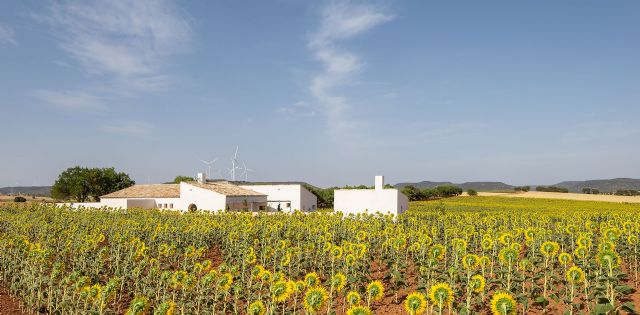 La ´Casa de Campo´ de Zafra de Záncara (Cuenca), Premio COACM Arquitectura Obra Nueva Vivienda - 1, Foto 1