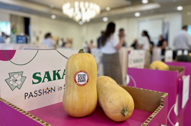 Calabaza nacional 365 días al año, clave para el aumento de consumo y nuevas oportunidades de negocio - 1, Foto 1