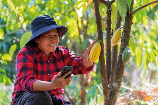 Casi 30.000 empresas de alimentación deberán certificar que sus productos no proceden de zonas deforestadas, según osapiens - 1, Foto 1