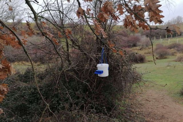 El peligro de las avispas velutinas y cómo erradicarlas, por Zero Velutina - 1, Foto 1