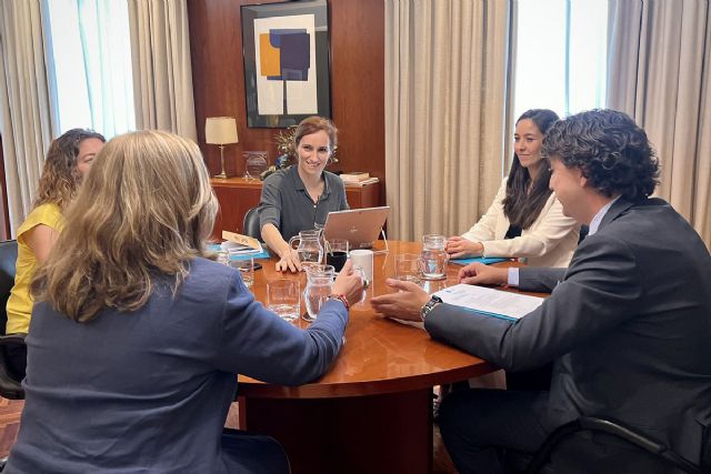 Sanidad trabaja para incorporar al Sistema Nacional de Salud tecnologías innovadoras - 1, Foto 1