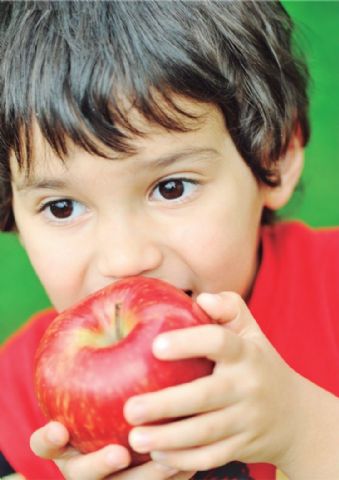 La Fundación Jiménez Díaz reafirma su compromiso contra la obesidad infantil en su IV Curso de Actualización en Nutrición Pediátrica - 1, Foto 1