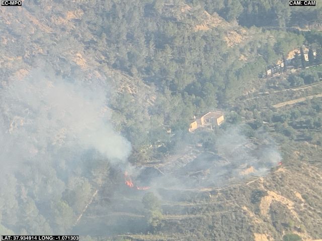 Incendio forestal en el camino Los Serranos, zona en el Garruchal - 1, Foto 1