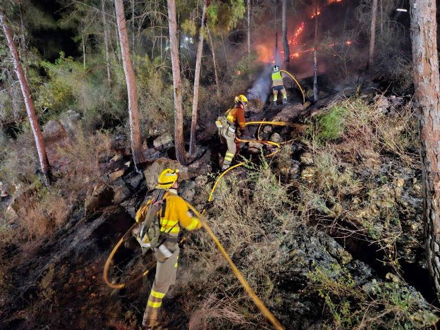 Incendio forestal en la Sierra de Altaona - 1, Foto 1