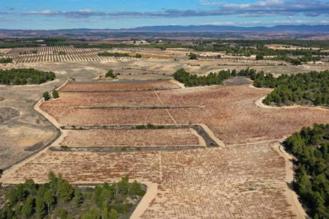 Pago de los Balagueses, la marca de vino de Bodegas Vegalfaro que está considerada como una obra maestra - 1, Foto 1