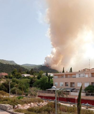 Incendio en el paraje del Sequen, La Alberca - 1, Foto 1