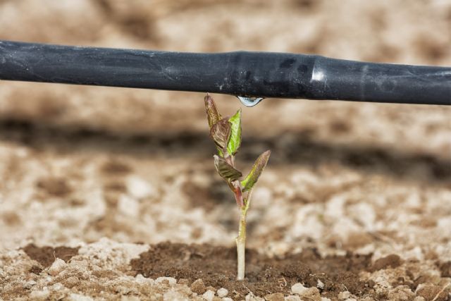 El Ministerio de Agricultura, Pesca y Alimentación constata un nuevo aumento del regadío eficiente en el campo español - 1, Foto 1