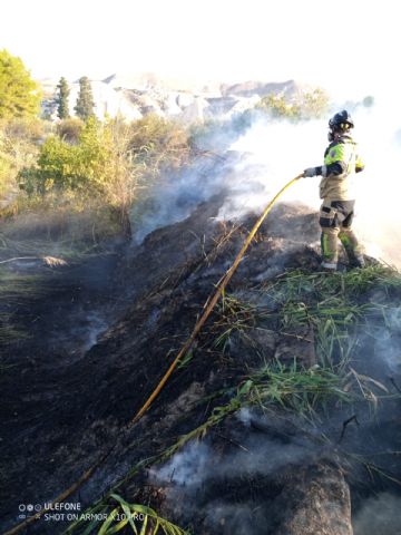 Efectivos del Plan Infomur controlan un incendio agrícola en Albudeite - 1, Foto 1