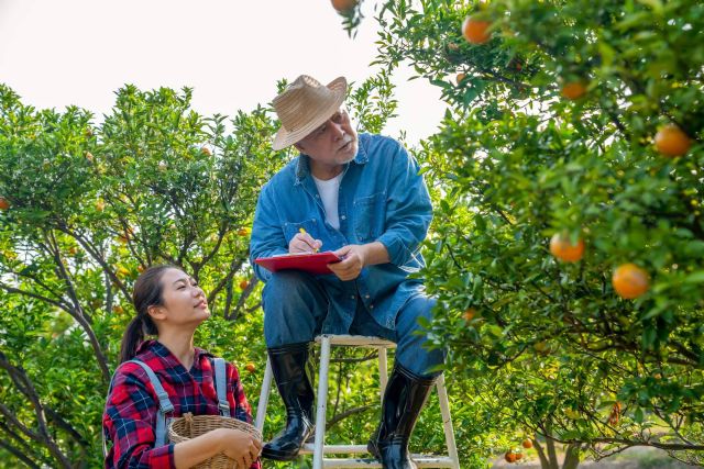 El Citrus Greening desafía la producción mundial de zumo de naranja - 1, Foto 1