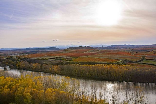 La importancia de ser un vino ecológico en La Rioja, Cornelio Dinastía - 1, Foto 1