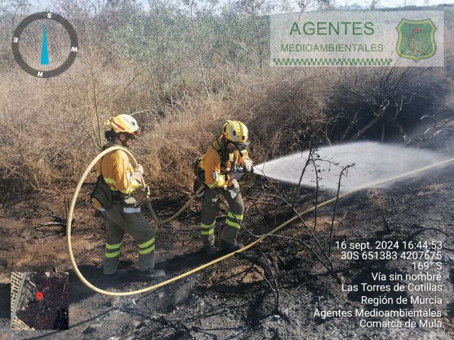 Efectivos adscritos al Plan Infomur apagan incendio agrícola en Las Torres de Cotillas - 1, Foto 1