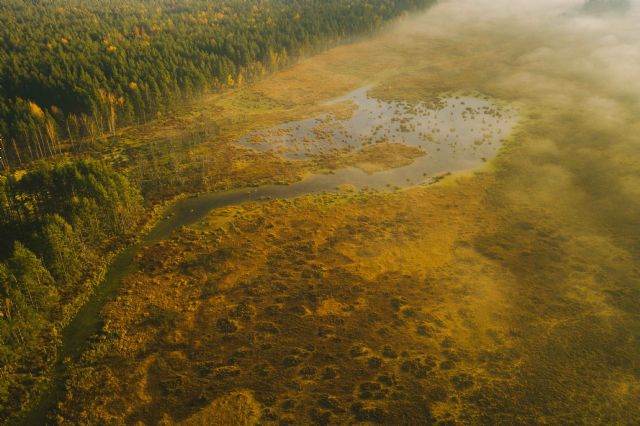 El encanto del otoño lituano: una sinfonía de colores y naturaleza viva - 1, Foto 1