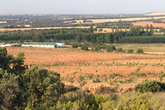 A la venta una unidad productiva agrícola en Alcaraz (Albacete) valorada en 2.800.000 € - 1, Foto 1